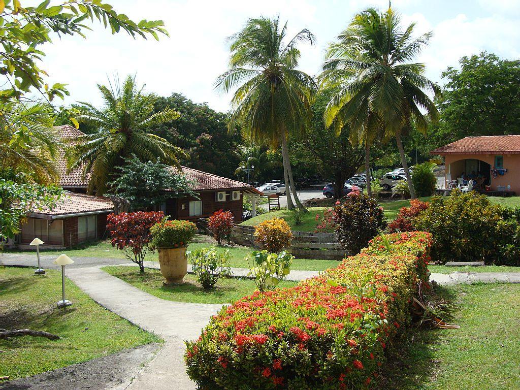 Palm'Studio Anse De Caritan Sainte-Anne Luaran gambar