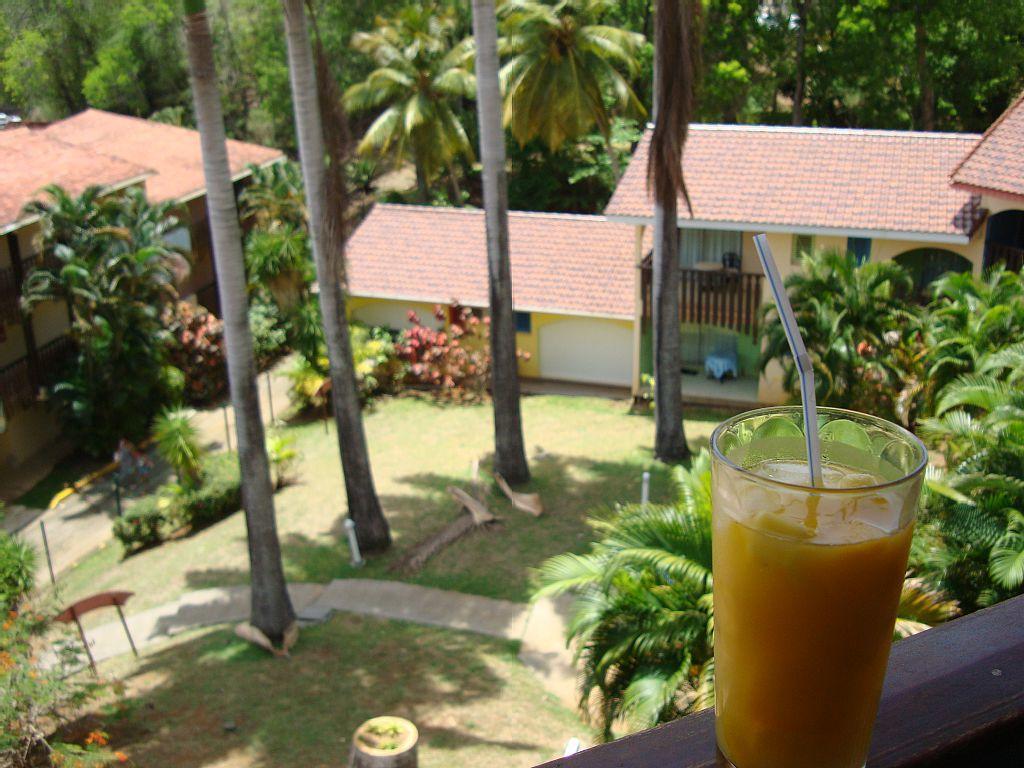 Palm'Studio Anse De Caritan Sainte-Anne Luaran gambar